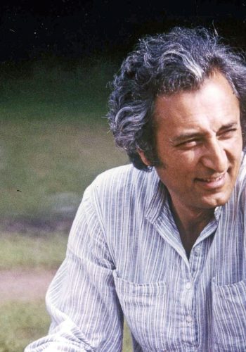 1980, Meryem Güler