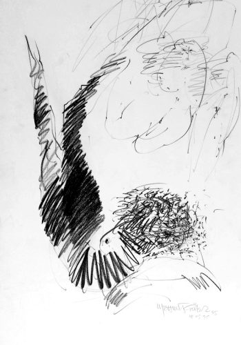 1995_Zeichnung-4_62x44 cm
